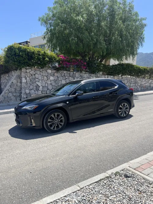 2020 Model Otomatik Lexus UX