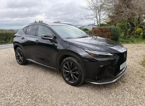 2023 Model Otomatik Lexus NX