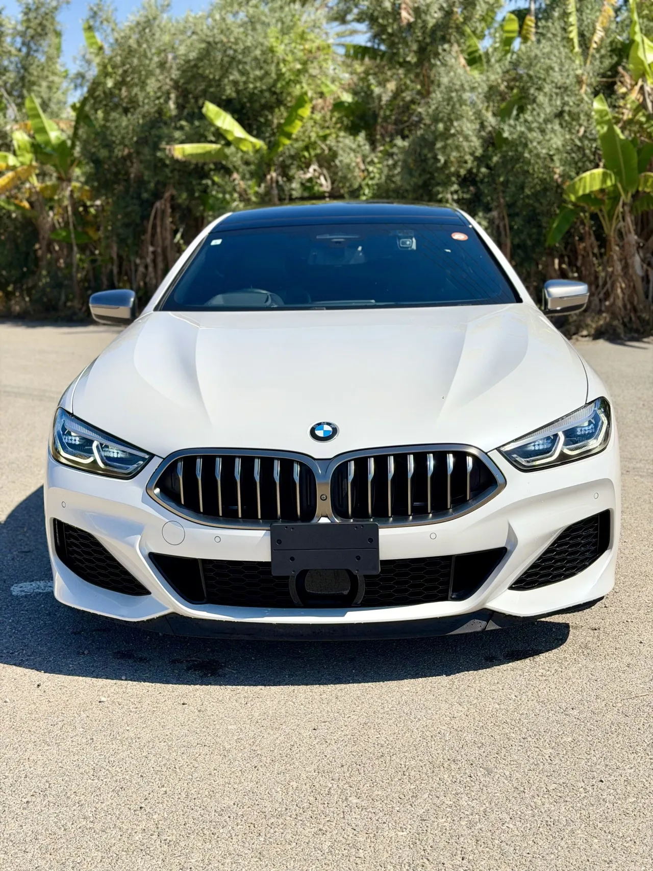 2022 Model Otomatik BMW 8 Serisi 5. Görseli