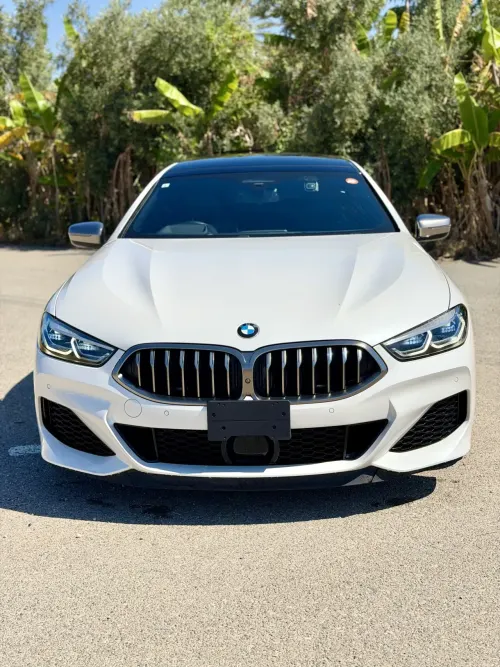2022 BMW 8 Serisi - Önizleme 5