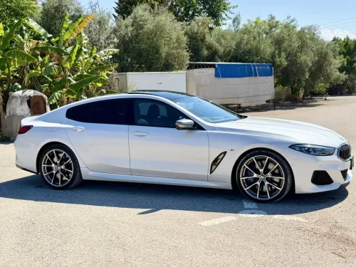2022 BMW 8 Serisi - Önizleme 9