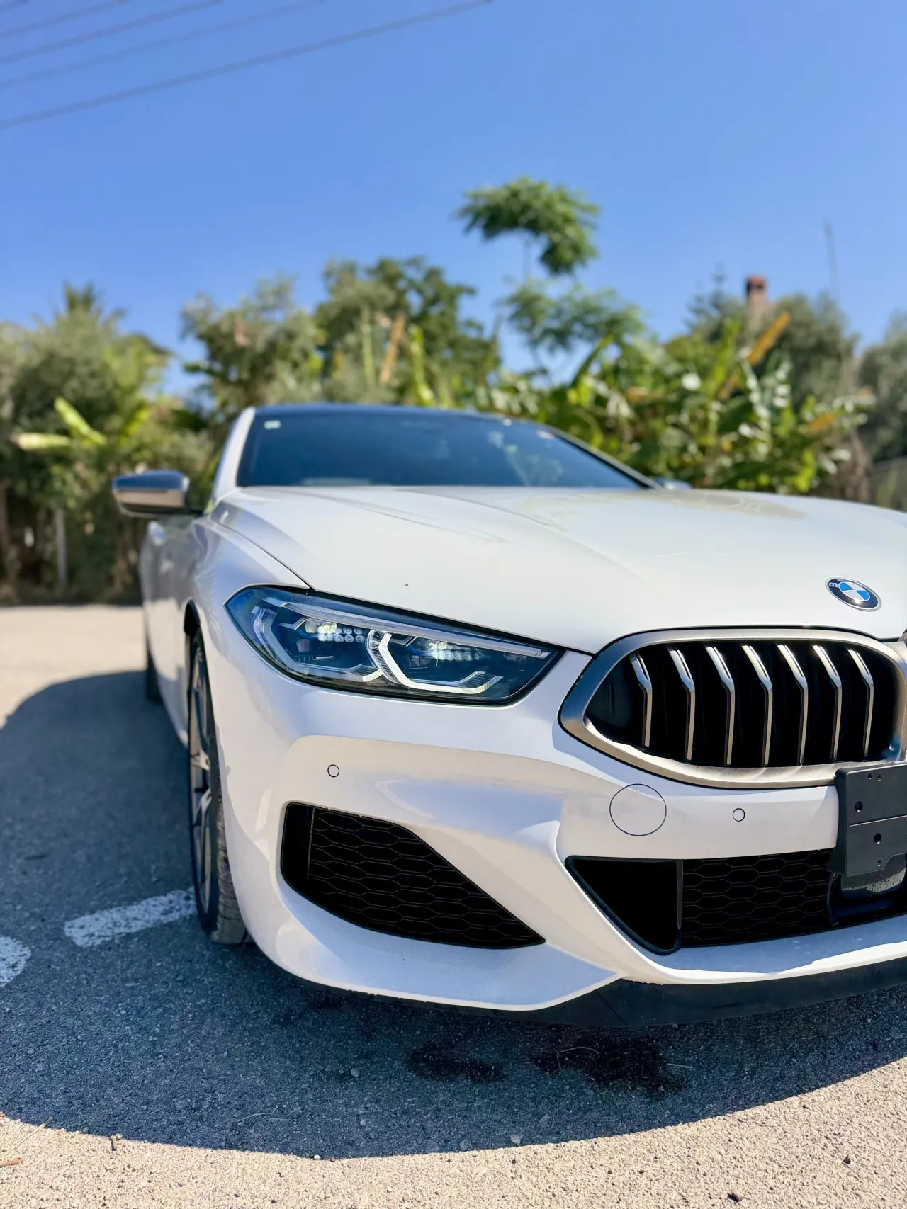 2022 Model Otomatik BMW 8 Serisi 12. Görseli