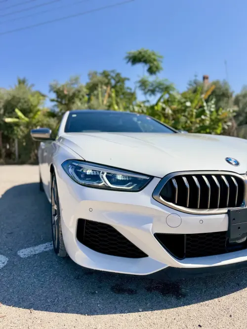2022 BMW 8 Serisi - Önizleme 12