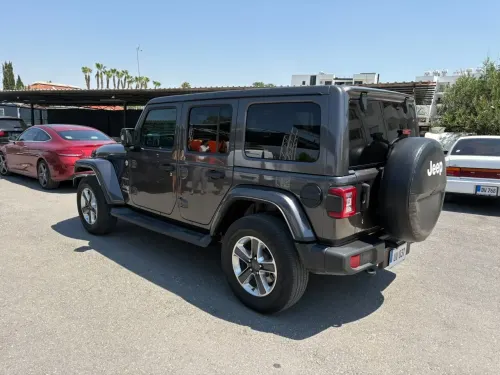 2020 Jeep Wrangler - Önizleme 8