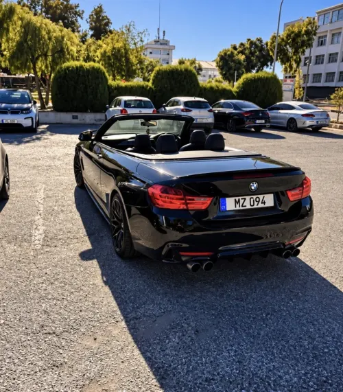 2014 BMW 4 Serisi - Önizleme 4