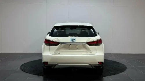 2022 Model Otomatik Lexus RX