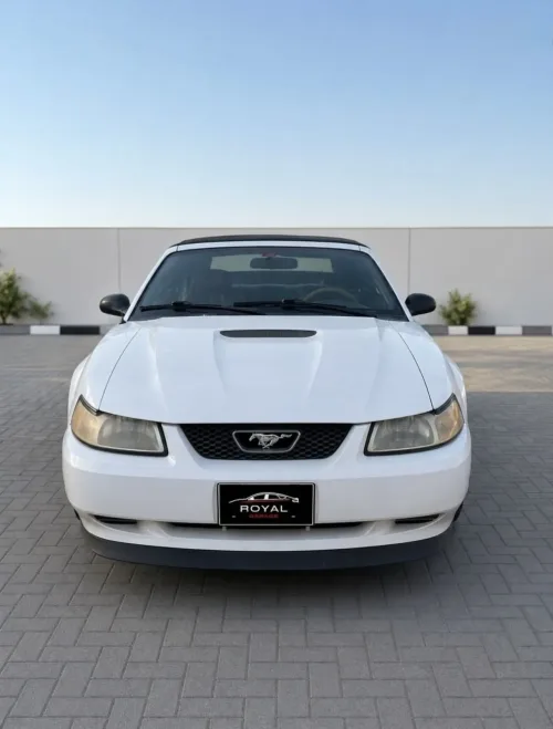 2009 Model Otomatik Ford Mustang