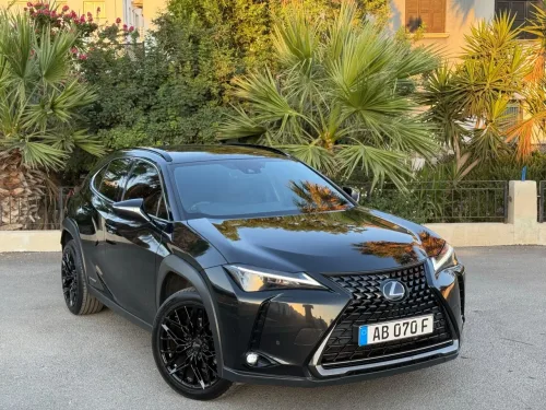 2022 Model Otomatik Lexus UX