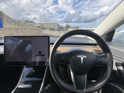 2020 Tesla Model 3 - Önizleme 3