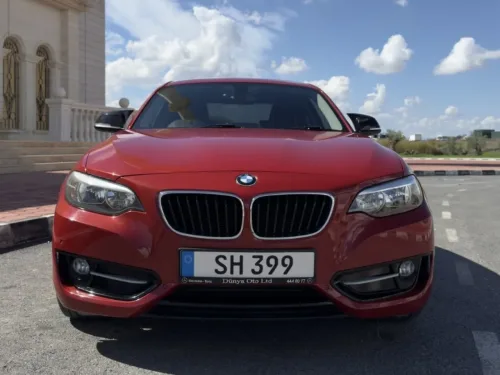 2016 BMW 2 Serisi - Önizleme 1