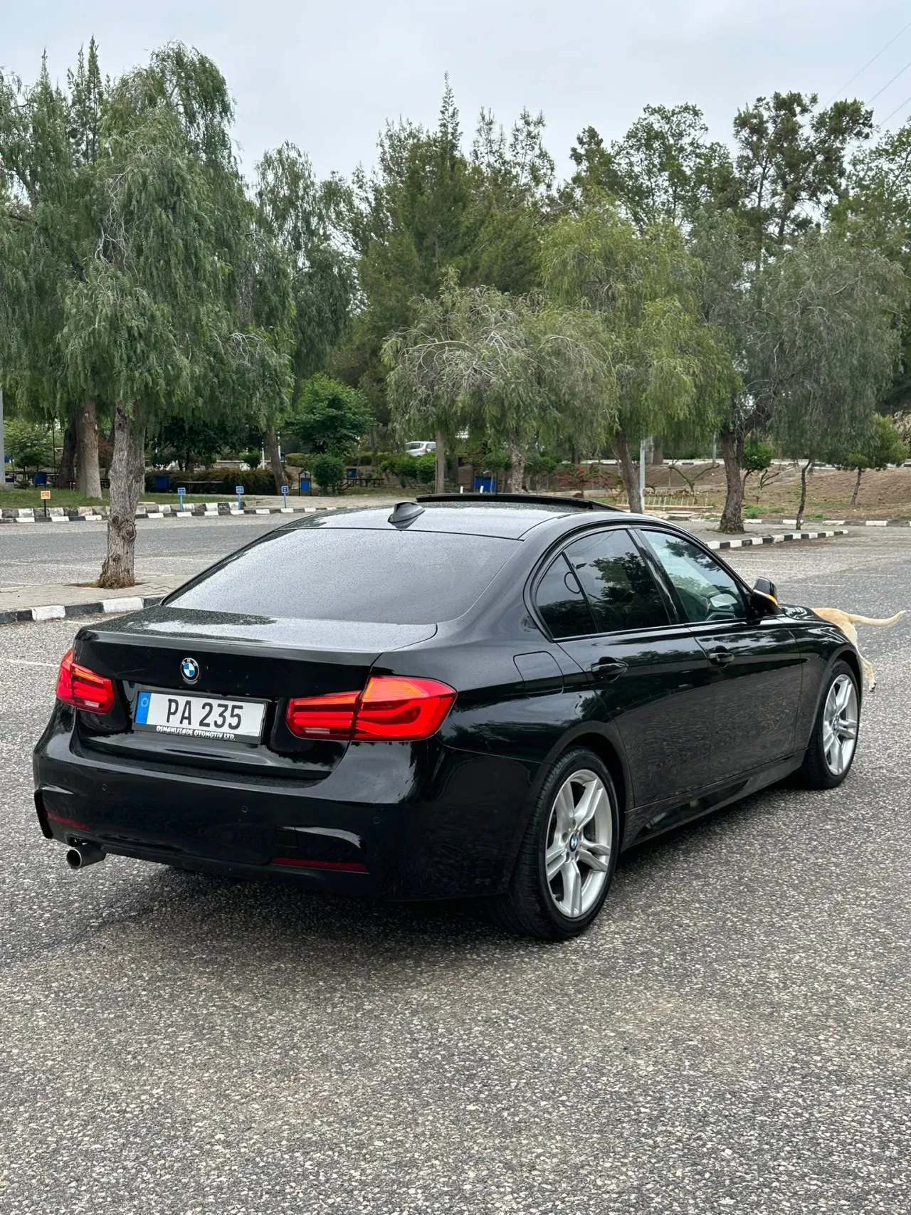 2016 BMW 3 Serisi - Önizleme 4